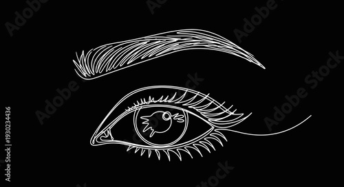 Minimalist White Line Art Drawing of a Woman's Eye and Eyebrow on Black Background