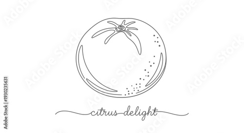 Minimalist Line Art of a Citrus Fruit with "Citrus Delight" Text