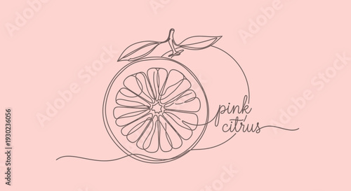 Minimalist Line Art of a Pink Citrus Fruit Slice with Leaves on Pink Background