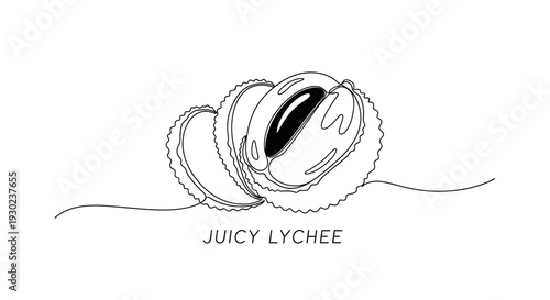 Juicy Lychee Fruit, Minimalist Line Art, Freshness, Healthy Eating, Tropical Exotic Fruit