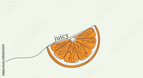 Juicy Orange Slice Illustration, Minimalist Line Art, Fresh Citrus Fruit, Healthy Food Concept
