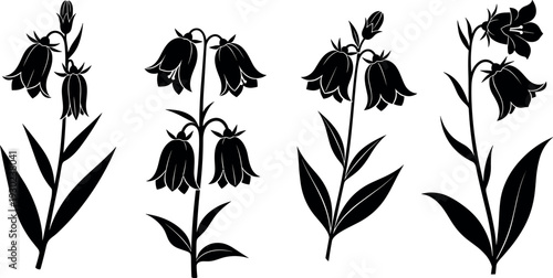 Black Bellflower Silhouette Vector Set with Elegant Wildflower Stems and Leaves for Botanical Illustrations Nature Designs and Decorative Graphic Art