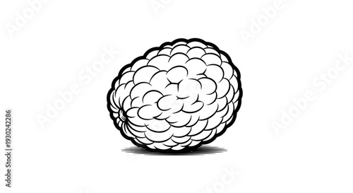 Hand-drawn sketch of a single raspberry, isolated on white background, black and white illustration