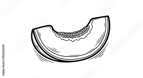 Hand-drawn slice of cantaloupe melon, fresh fruit illustration, black and white sketch