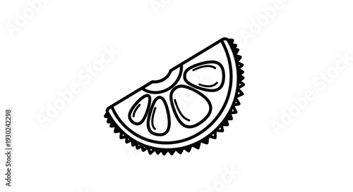 Hand-drawn slice of citrus fruit, lime or lemon, isolated on white background, simple sketch