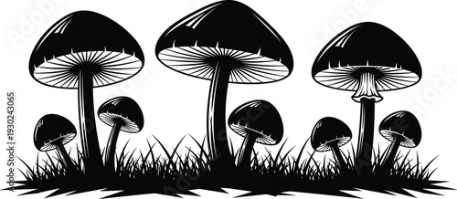 Black and white mushroom silhouettes collection with various fungi species growing in grass for nature, forest, and autumn design concepts.