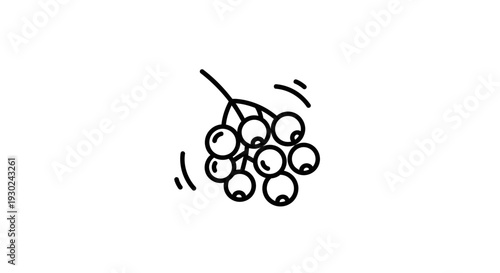 Hand-drawn berry cluster icon, simple line art, isolated on white background