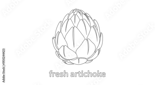 Fresh Artichoke Outline Drawing, Healthy Food Ingredient, Simple Line Art Illustration