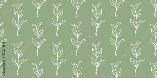 Seamless pattern with young tea leaves . Green background with silhouettes of engraved leafy branches. Botanical print. Vector graphic