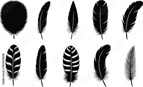 Black feather silhouette collection with various bird plumes and quill shapes for bohemian decor nature design and decorative vector art icons.