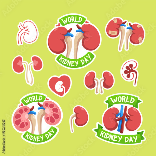 World Kidney Day sticker set, renal health awareness vector icons, flat design medical symbols with heart and anatomy details.