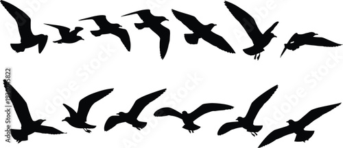 Black seagull silhouette collection with flying birds in various poses for coastal nature design maritime themes and decorative vector art icons.