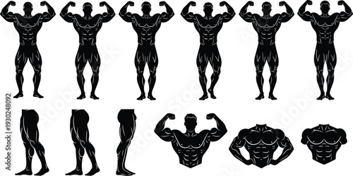 Bodybuilder, silhouette, collection, muscle, anatomy, fitness, icons, set, athletic, male, figures, gym, posing, vector, illustration, bodybuilding, training, workout, design, elements,