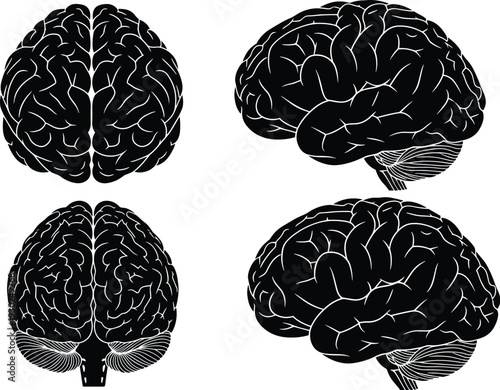 Human, brain, silhouette, set, medical, vector, illustration, anatomy, of, the, mind, isolated, on, white, background, neurology, intelligence, science, psychology, icon