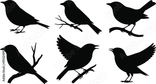 Perched and singing bird silhouette set, black songbird icons isolated on white background collection