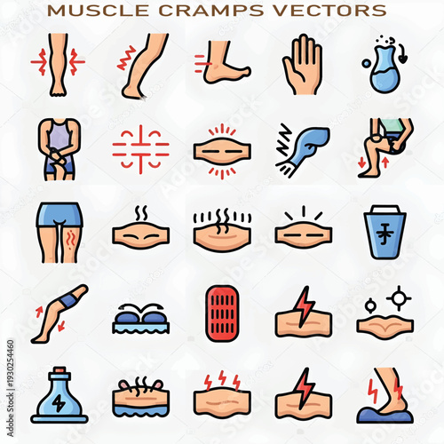 Human Muscle Anatomy Illustration, Detailed Muscular System Diagram, Medical Education Concept