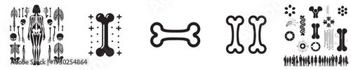 vector set of silhouette bones