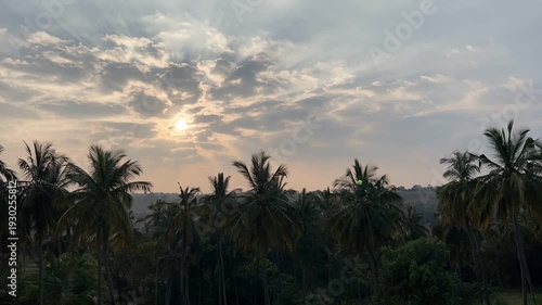 Tall coconut trees sway gently in the breeze, surrounded by lush greenery and peaceful natural beauty. The fresh air, blue sky, and calm atmosphere create a refreshing and soothing nature scene. 🌴🌿