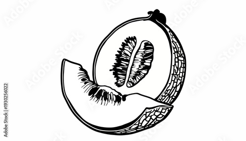Black and white illustration of a halved fruit with visible whisker-like texture and seeds