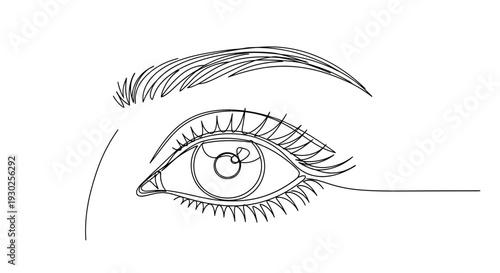 Minimalist Single Line Drawing of a Woman's Eye with Eyelashes and Eyebrow