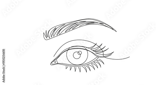 Minimalist Single Line Drawing of a Beautiful Female Eye with Eyelashes and Eyebrow