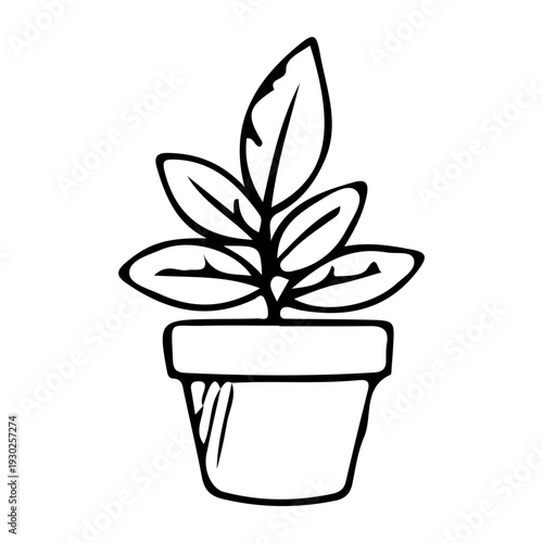 Hand Drawn Potted Plant Icon