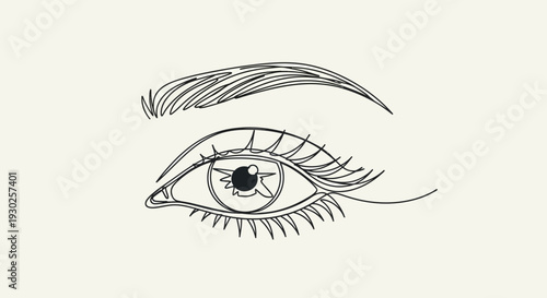 Minimalist Line Drawing of a Woman's Eye and Eyebrow with Eyelashes