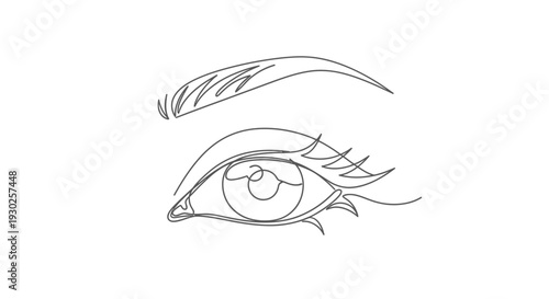 Minimalist One Line Drawing of a Beautiful Woman's Eye and Eyebrow