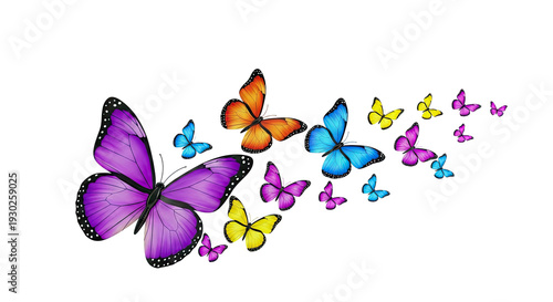Collection of Colorful Butterflies in Flight