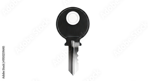 Modern Black Key with White Center
