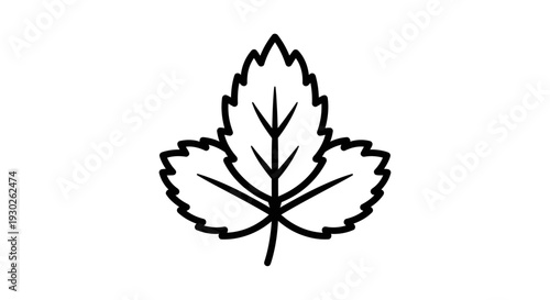Simple Line Art of a Grape Leaf, Black and White Icon, Vector Illustration