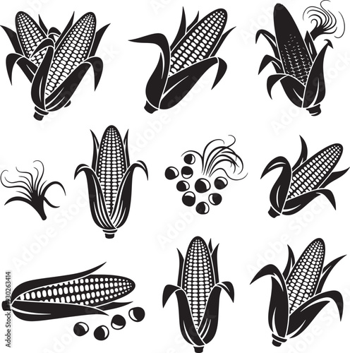 Black and White Corn Illustrations with Ears and Grains