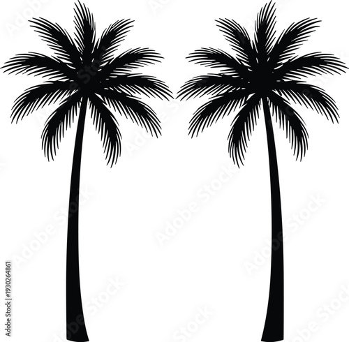 Two tropical palm tree silhouettes isolated on white background, black beach vector illustration for summer and island design