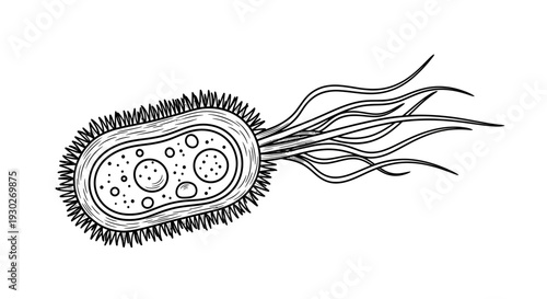 Illustration of a Bacterium with Flagella and Cilia, Microscopic Organism