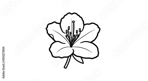 Black and White Outline Drawing of a Single Rhododendron Flower with Petals and Stamens