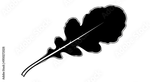 Black silhouette of a single oak leaf with a white stem on a white background