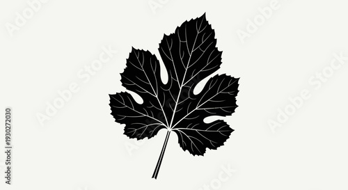 Black silhouette of a fig leaf with detailed veins on a light beige background