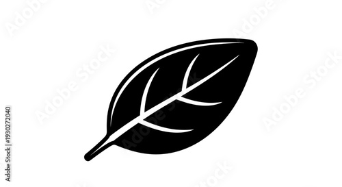 Black Silhouette of a Single Leaf with Veins on White Background