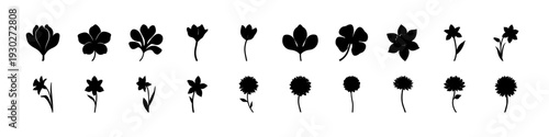 Black Floral Silhouettes Minimal Icon Set -
Row of black flower and plant silhouettes in simple shapes, isolated on white background for graphic design, branding, and craft use.