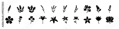 Black Floral and Leaf Silhouettes Icon Set- 
Collection of black flower and leaf silhouettes in various shapes, isolated on white background for graphic design, logos, and craft projects.
