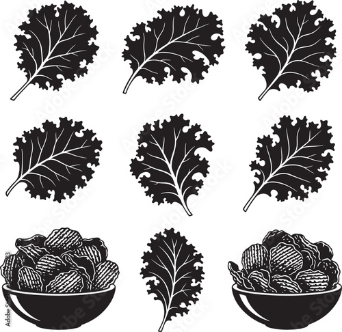 Black and White Illustration of Kale Leaves and Bowls