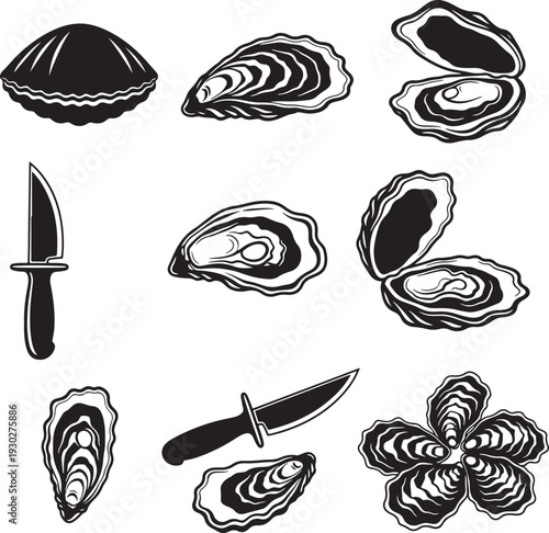 Oyster Illustration Set: Fresh Oysters, Shells, and Shucking Knives - Vector Graphics