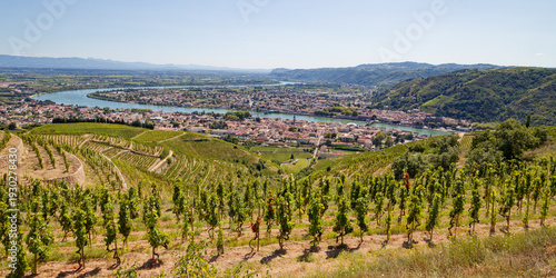 Tableau sur toile Les méandres du Rhône entre Tournon et Tain l'Hermitage au pied des vignes