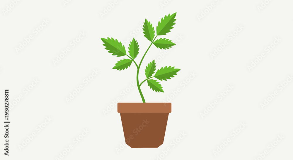 Fototapeta premium Potted Plant Illustration – Indoor Green Leaf Houseplant Vector Design