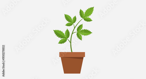 Potted Plant Illustration – Indoor Green Leaf Houseplant Vector Design