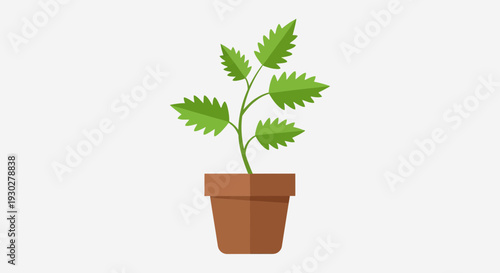Potted Plant Illustration – Indoor Green Leaf Houseplant Vector Design