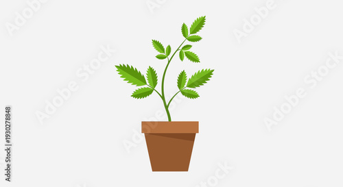 Potted Plant Illustration – Indoor Green Leaf Houseplant Vector Design