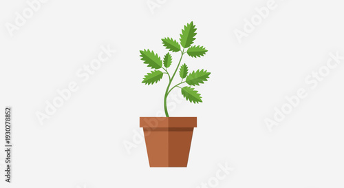 Potted Plant Illustration – Indoor Green Leaf Houseplant Vector Design