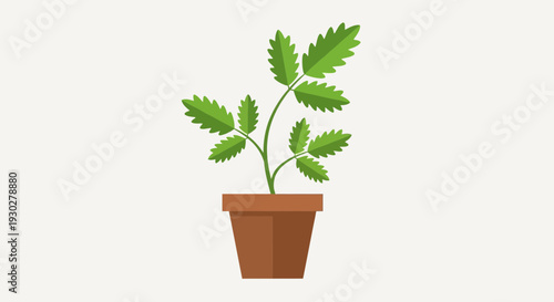 Potted Plant Illustration – Indoor Green Leaf Houseplant Vector Design