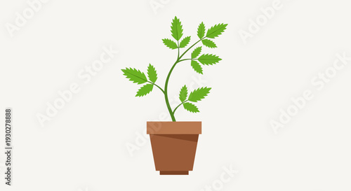 Potted Plant Illustration – Indoor Green Leaf Houseplant Vector Design